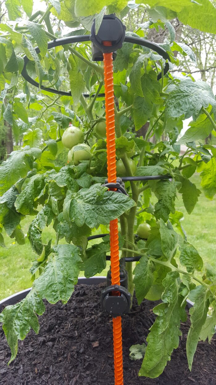 Gardener Special Kit | Designed Specifically to support 2 1/2 - 3 1/2 FT tall tomato plants. (Determinate) Like Roma Tomato plants - Image 2