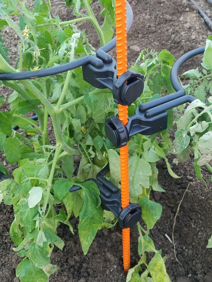 Homesteader Kit |Designed Specifically to support 5 to 7 FT tall tomato plants. (Indeterminate) like Beefsteak Tomato plants. - Image 3