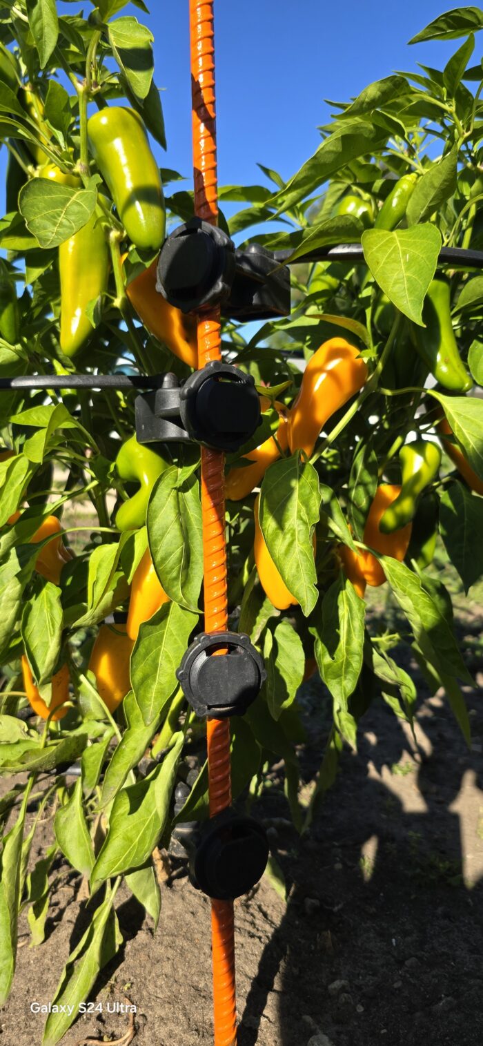 Off Grid Kit | Designed Specifically for Bell, Jalapeno, Banana Peppers & certain variety of Raspberry Plants - Image 3