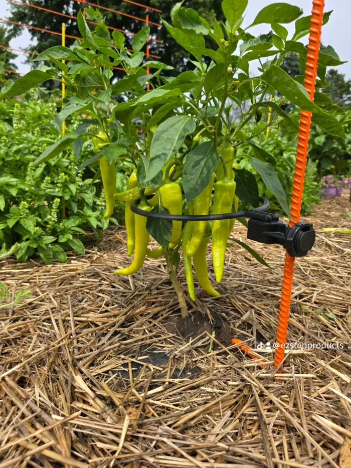 Off Grid Kit | Designed Specifically for Bell, Jalapeno, Banana Peppers & certain variety of Raspberry Plants - Image 8