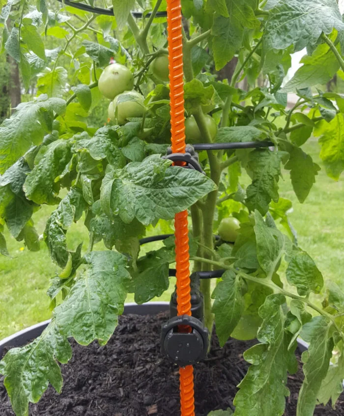 Plant Support Rings – EZ Rings - Image 10