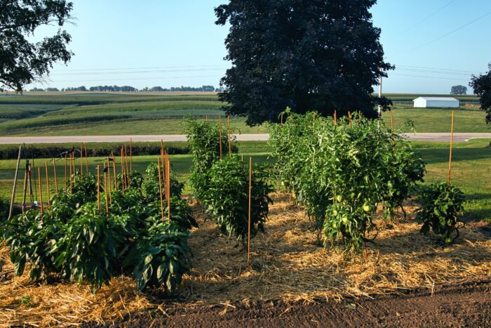 Gardeners Special Support Ring System