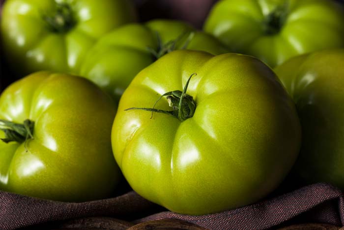 raw organic green tomatoes
