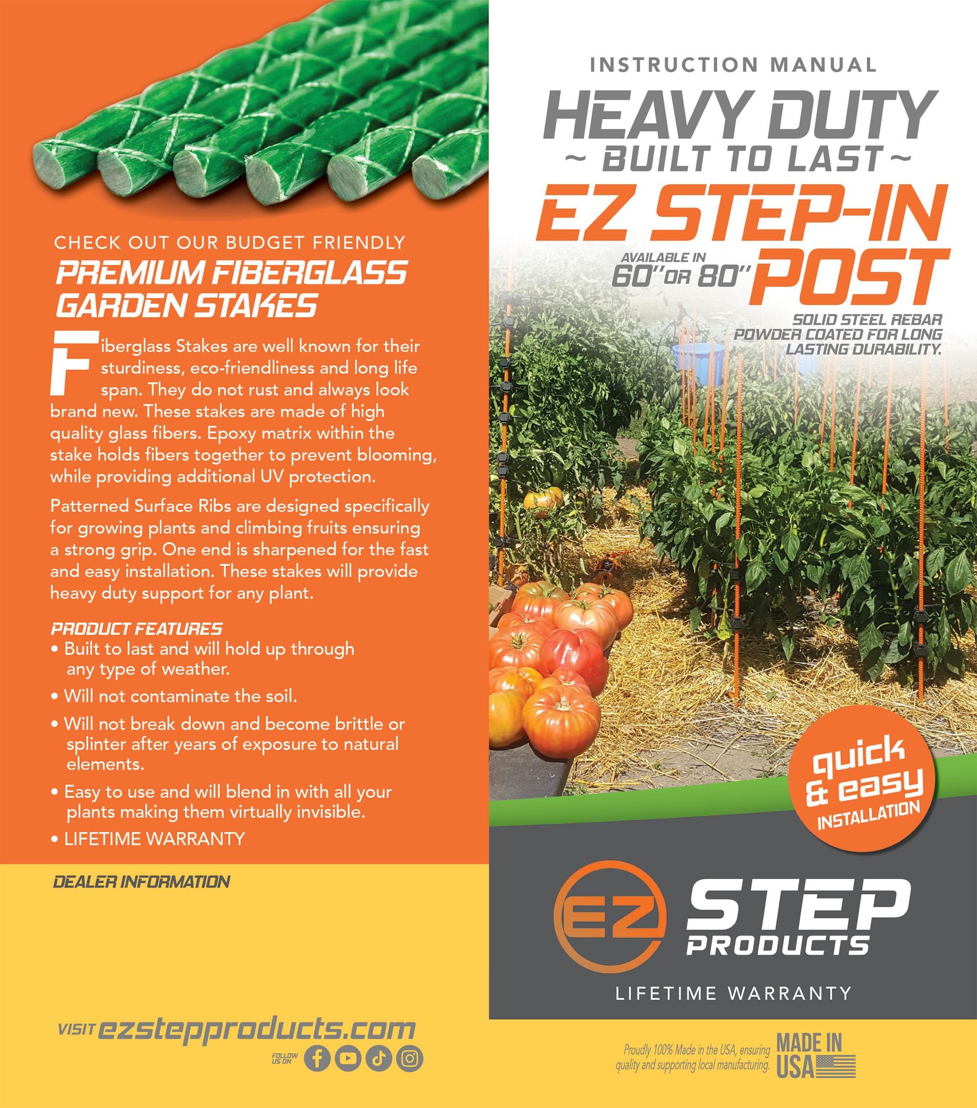 StepIn Brochure Cover