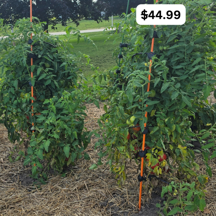 Homesteader Kit |Designed Specifically to support 5 to 7 FT tall tomato plants. (Indeterminate) like Beefsteak Tomato plants.