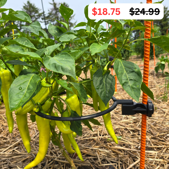 Off Grid Kit | For Bell, Jalapeno, Banana peppers & certain variety of Raspberry Plants