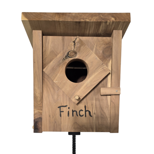 Finch Front