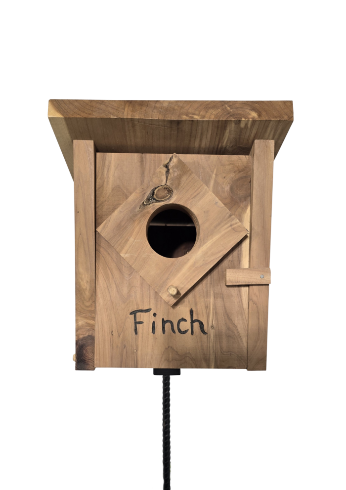 Finch Front