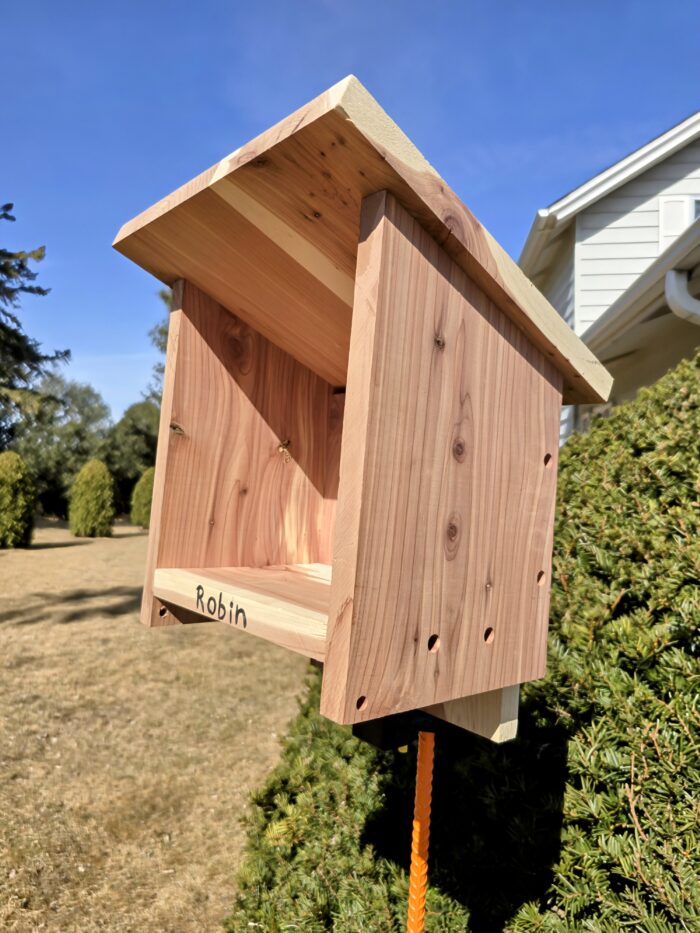 Birdhouse only | Robin - Image 2