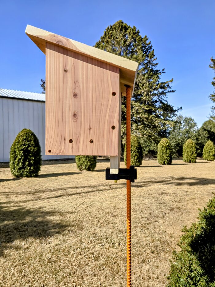 Birdhouse only | Robin - Image 3