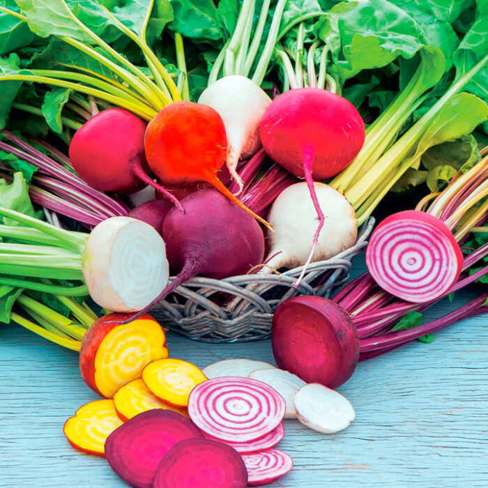 Rainbow Blend Beet