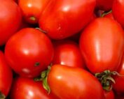 Amish Paste Tomatoes