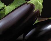 Black Beauty Eggplant