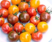 Bumblebee Cherry Tomato Seeds