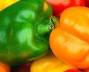 California Wonder Pepper