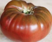 Cherokee Tomato