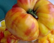 Pineapple Heirloom Tomato Seeds