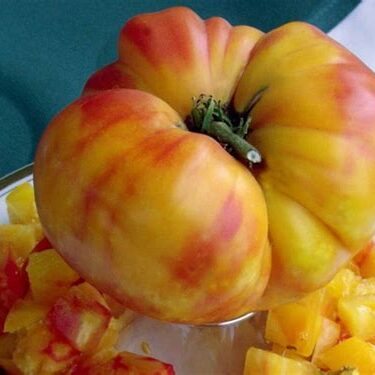 Pineapple Heirloom Tomato Seeds