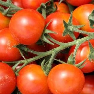 Sweet-Apertif-cherry tomato