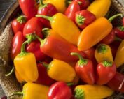 Sweet Pepper Mix