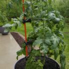 20200522_115312-864x1536