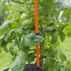 20200522_115328-864x1536