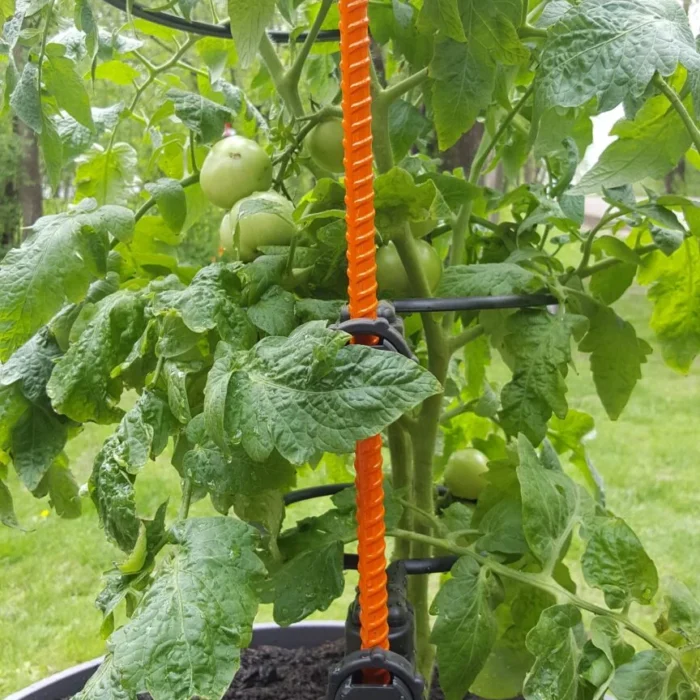 20200522_115328-864x1536 20200522_115328-864x1536