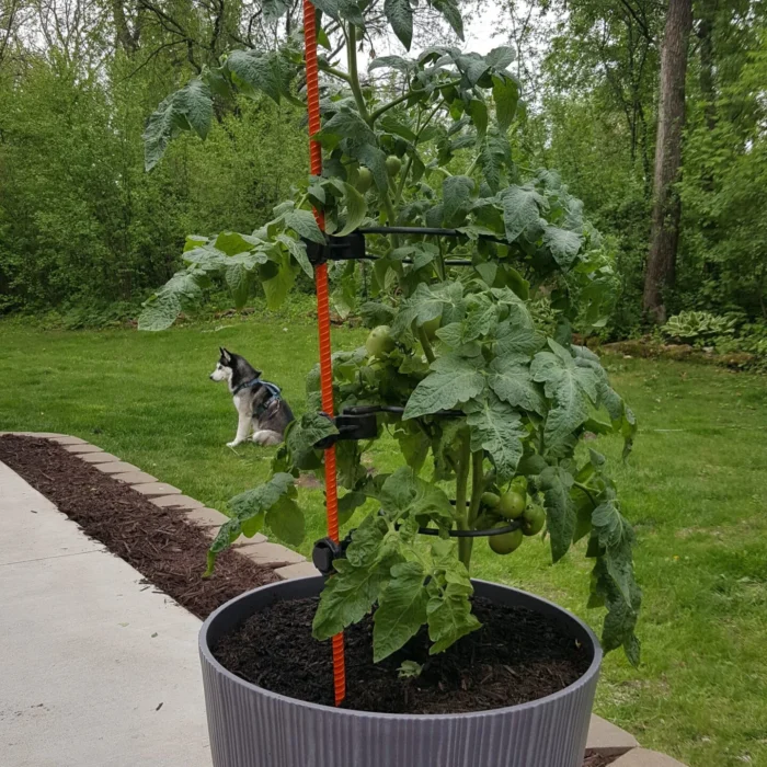 20200522_172858-scaled 20200522_172858-scaled