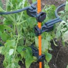 20201121_160550-1152x1536