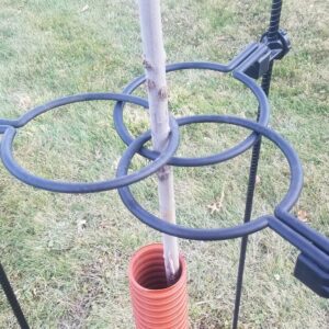 EZ Step Sapling Support Systems | for Strong, Healthy Trees