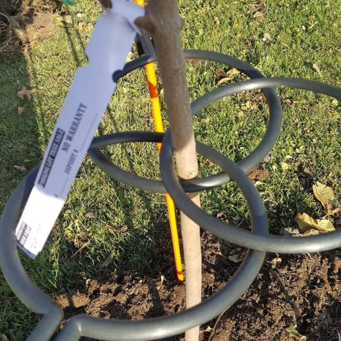 EZ Step Sapling Support Systems Img 4