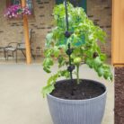 Resized_20200522_115800003-864x1536