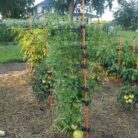 Resized_20230731_195351_1170-1152x1536