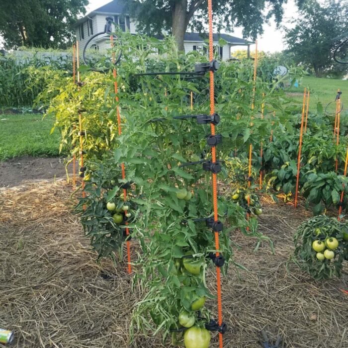 Resized_20230731_195351_1170-1152x1536 Resized_20230731_195351_1170-1152x1536