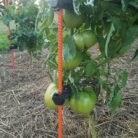 Resized_20230731_202039_360-1152x1536