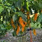 20240928_171253-1024x473