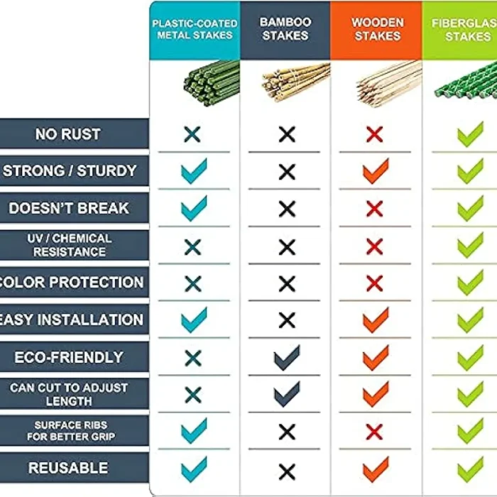 51JnvoXMZ9S._AC_UF8941000_QL80_FMwebp_DpWeblab_