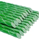 51VEic04qdS._AC_UF8941000_QL80_FMwebp_DpWeblab_