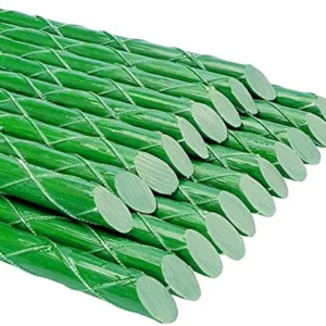 51VEic04qdS._AC_UF8941000_QL80_FMwebp_DpWeblab_