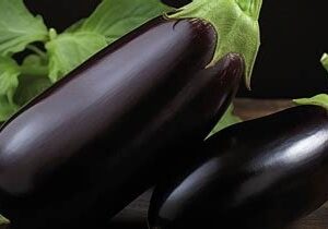 Eggplant - Black Beauty