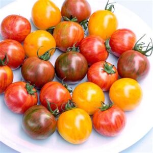Cherry Tomatoes - Bumblebee Mix