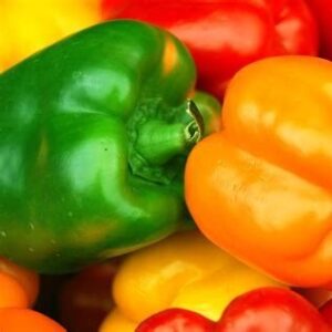 Peppers - California Wonder