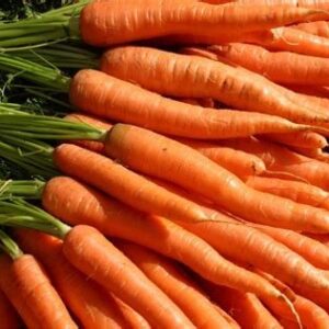 Carrots - Danvers