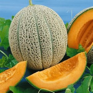 Muskmelon - Hales Best Jumbo