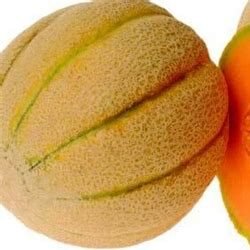 Muskmelon - Jenny Lind