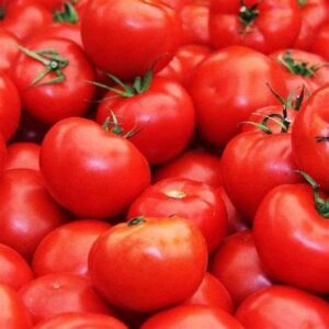 Tomatoes - Rutgers