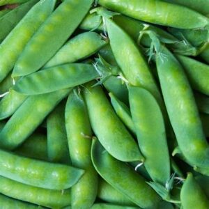 Peas - Snap Peas