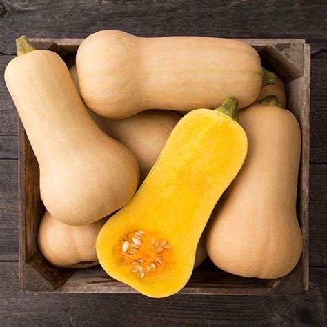 Waltham-Butternut.jpg Waltham-Butternut.jpg